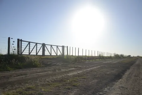 Seguro Multirriesgo Agrícola cordobés: productores tienen tiempo hasta el 10 de enero para inscribirse
