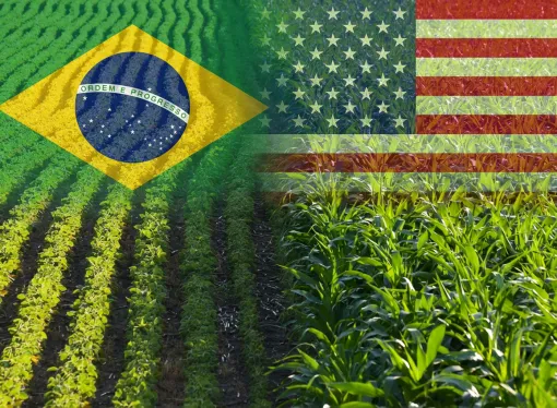 Presión de cosecha en Brasil y stocks en EE.UU. golpean los precios en Chicago