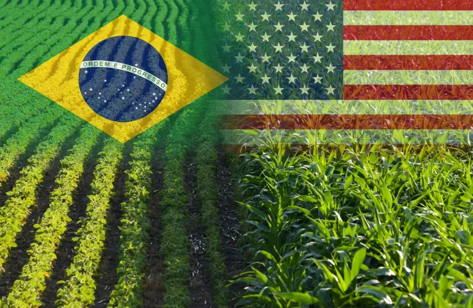 Presión de cosecha en Brasil y stocks en EE.UU. golpean los precios en Chicago