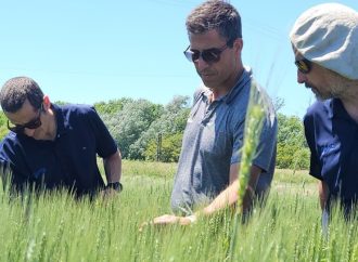VITTA CROPS: La firma argentina que revoluciona el agro con nanotecnología y eficiencia logística