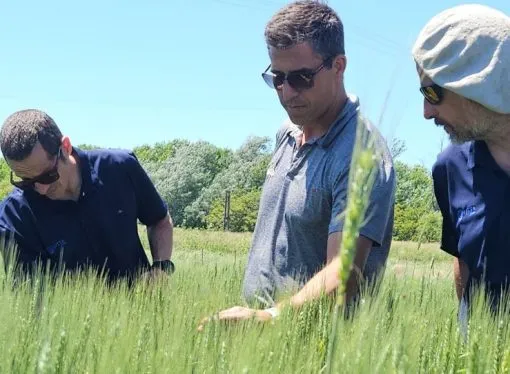 VITTA CROPS: La firma argentina que revoluciona el agro con nanotecnología y eficiencia logística