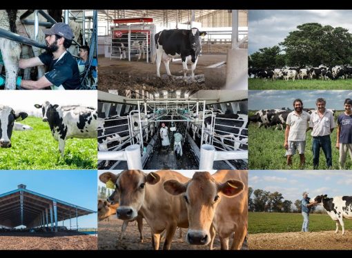 Día Nacional del Tambero: Mastellone Hnos. reafirma su compromiso con el motor de la lechería argentina