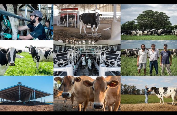 Día Nacional del Tambero: Mastellone Hnos. reafirma su compromiso con el motor de la lechería argentina