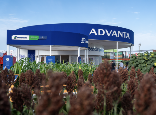 Advanta celebra 30 años en Expoagro 2026 con su propuesta de las «Tres Estrellas»