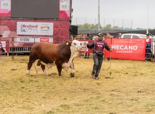 Expoagro 2026: La ganadería se consolida como uno de los nuevos motores comerciales de la muestra