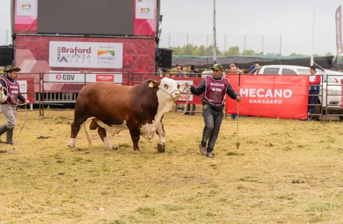 Expoagro 2026: La ganadería se consolida como uno de los nuevos motores comerciales de la muestra