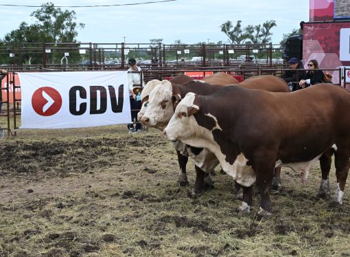 CDV apuesta a la innovación y la sanidad animal en una nueva edición de Expoagro