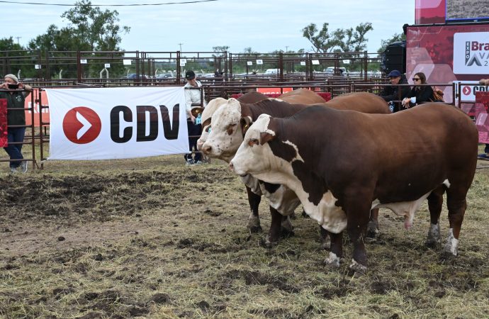 CDV apuesta a la innovación y la sanidad animal en una nueva edición de Expoagro