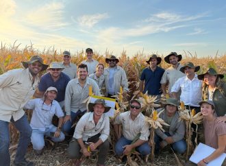 Nidera pone en marcha sus Centros de Entrenamiento 2026 para potenciar la producción de girasol y maíz