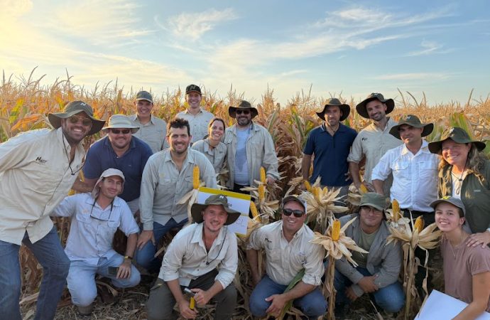 Nidera pone en marcha sus Centros de Entrenamiento 2026 para potenciar la producción de girasol y maíz