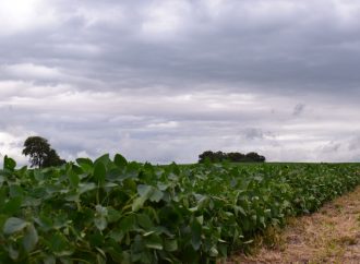 Alerta meteorológica en el centro y norte del país: ráfagas de 80 km/h, granizo y lluvias intensas