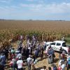 Innovación y tecnología a Campo: La Cooperativa Unión presentó sus Ensayos de cultivos estivales en la Jornada +Maíz