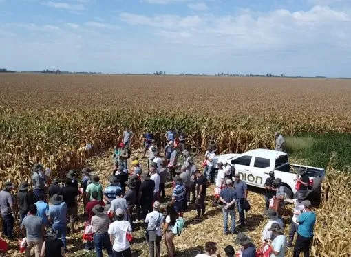 Innovación y tecnología a Campo: La Cooperativa Unión presentó sus Ensayos de cultivos estivales en la Jornada +Maíz