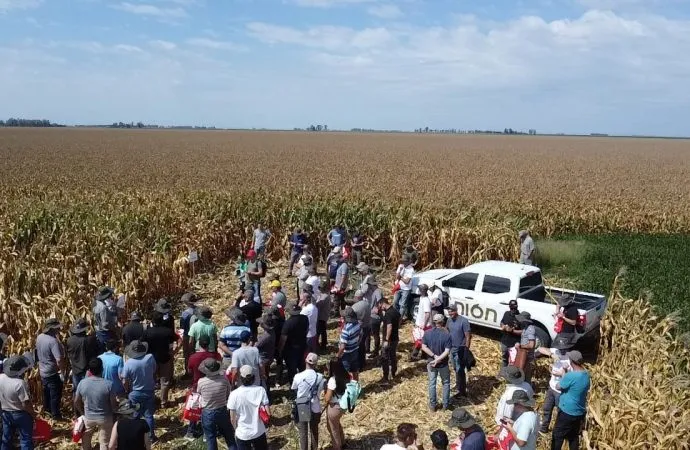 Innovación y tecnología a Campo: La Cooperativa Unión presentó sus Ensayos de cultivos estivales en la Jornada +Maíz