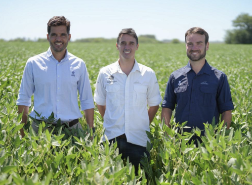 Genética y tecnología: DONMARIO presentó sus cinco nuevas apuestas en soja para la campaña 2026