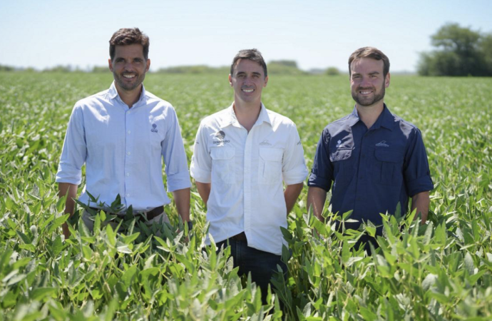 Genética y tecnología: DONMARIO presentó sus cinco nuevas apuestas en soja para la campaña 2026