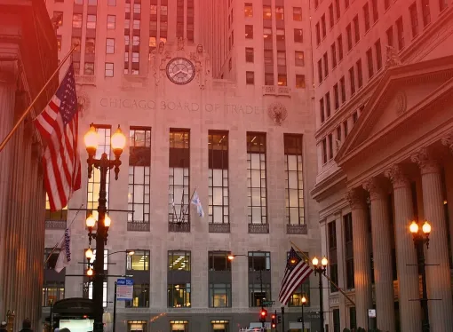 Cierre de Semana en Rojo para Chicago: El Repunte del Dólar y la Amplia Oferta Global Presionan los Precios
