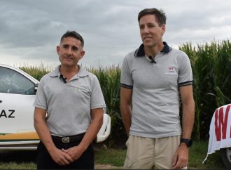 Productores del norte cordobés buscan el máximo rinde: como viene el concurso de excelencia y manejo en maíz