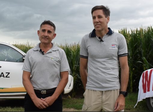 Productores del norte cordobés buscan el máximo rinde: como viene el concurso de excelencia y manejo en maíz