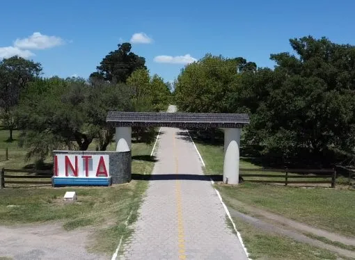 Ajuste en el INTA y CONICET: El Gobierno avanza con despidos, retiros voluntarios y la venta de tierras fiscales