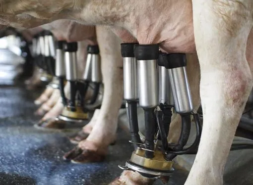 Aprocal regresa a TodoLáctea: una cita clave para la eficiencia y la calidad en la producción lechera