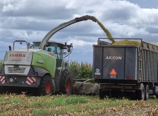 Innovación en Pampa de Pocho: presentarán tecnología de punta para el picado de forraje
