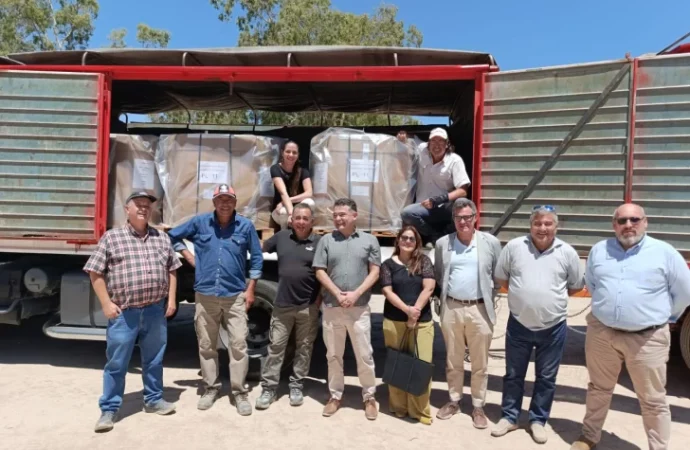 Productores de Jáchal concretaron su primera exportación de semillas de cebolla certificada a Holanda