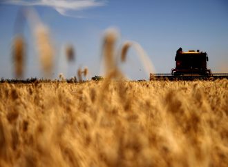 Agroindustria: Las exportaciones del campo alcanzan su nivel más alto en una década