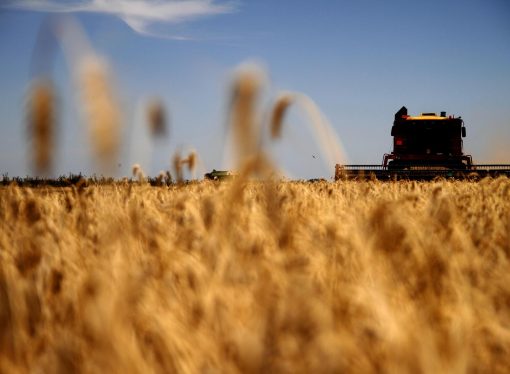 Tensión geopolítica y clima: los granos bajo presión