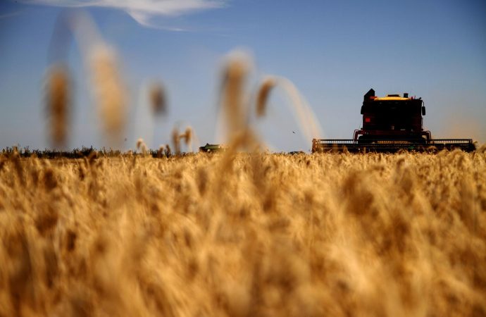 Agroindustria: Las exportaciones del campo alcanzan su nivel más alto en una década