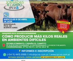 Flyer 600x600 Bordenave JORNADA 8 ABRIL 2026
