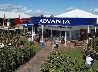 Advanta Semillas en Expo Agro: El desafío de las «tres estrellas» y la apuesta por la colza como cuarto pilar agrícola