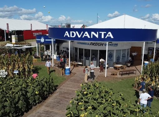 Advanta Semillas en Expo Agro: El desafío de las «tres estrellas» y la apuesta por la colza como cuarto pilar agrícola