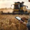El campo se digitaliza: el Espacio Personal AgTech marcará el pulso de la innovación en Expoagro 2026