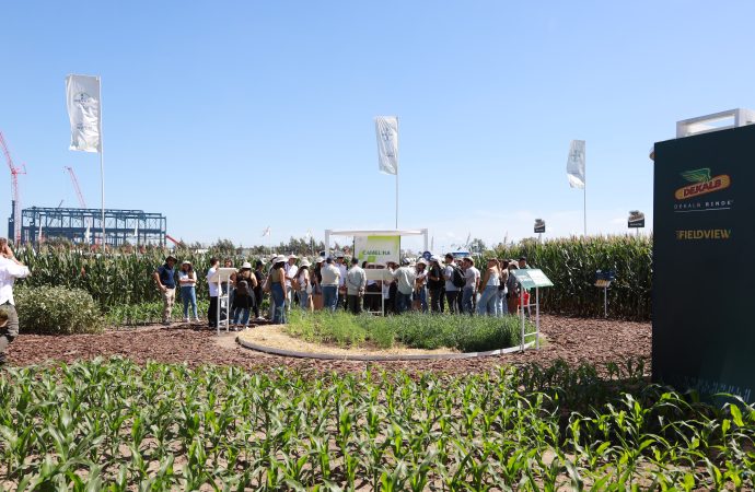 El campo argentino ante una nueva era: tecnología y sustentabilidad para cerrar la brecha productiva