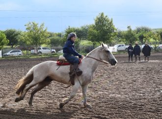 Jesús María se consolida como el epicentro del Caballo Criollo: Universidad Siglo XXI mide fuerte impacto económico en la región