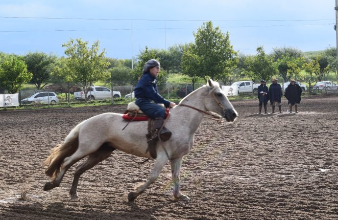 Jesús María se consolida como el epicentro del Caballo Criollo: Universidad Siglo XXI mide fuerte impacto económico en la región
