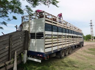 «Cuatrerismo fiscal»: El fuerte reclamo del campo cordobés para eliminar las tasas al movimiento de hacienda