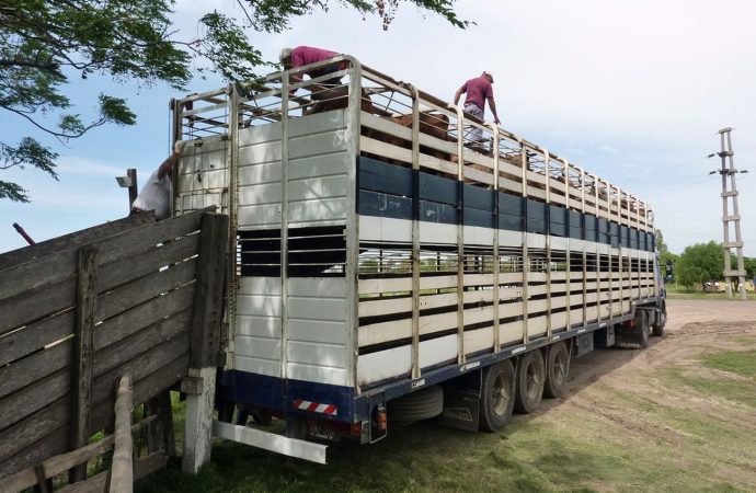 «Cuatrerismo fiscal»: El fuerte reclamo del campo cordobés para eliminar las tasas al movimiento de hacienda
