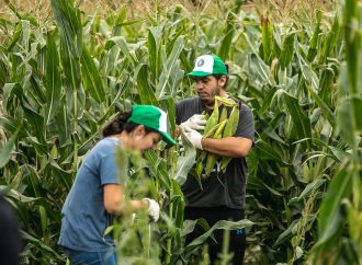 La Facultad de Ciencias Agropecuarias celebra 11 años de compromiso con una nueva «Chocleada Solidaria»