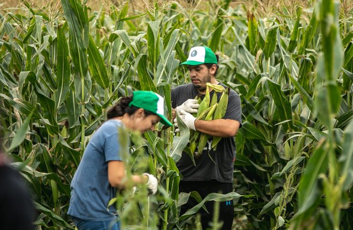 La Facultad de Ciencias Agropecuarias celebra 11 años de compromiso con una nueva «Chocleada Solidaria»