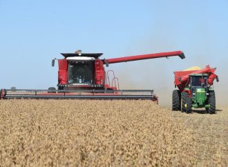Récord histórico: la actividad de la cadena agropecuaria encadena cuatro meses de niveles máximos