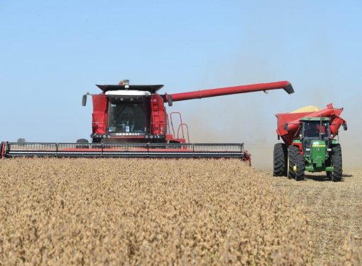 Récord histórico: la actividad de la cadena agropecuaria encadena cuatro meses de niveles máximos