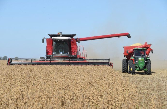 Récord histórico: la actividad de la cadena agropecuaria encadena cuatro meses de niveles máximos