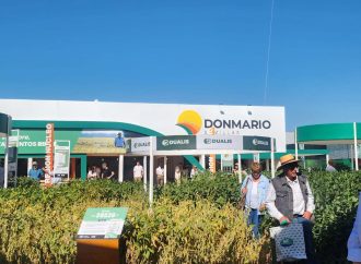 Expoagro 2026: DONMARIO despliega su «blindaje genético» con nuevos lanzamientos en soja y tecnología inmersiva