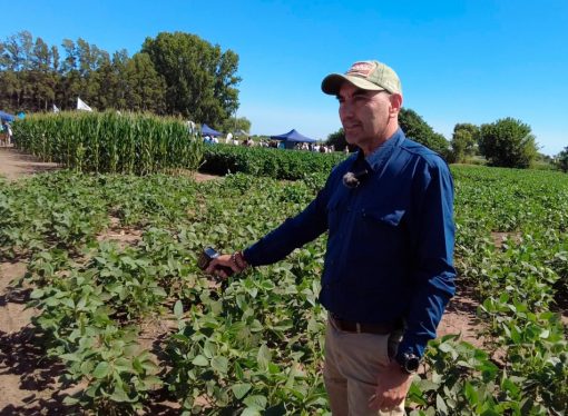 Estrés abiótico: el «enemigo invisible» que estanca los rindes y degrada los suelos en Argentina