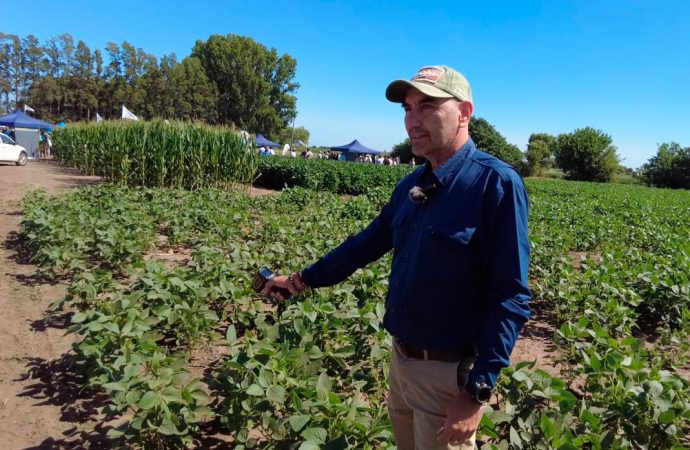 Estrés abiótico: el «enemigo invisible» que estanca los rindes y degrada los suelos en Argentina