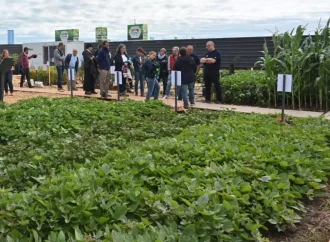 El INTA desembarca en Expoagro con lo último en genética, drones e inteligencia artificial
