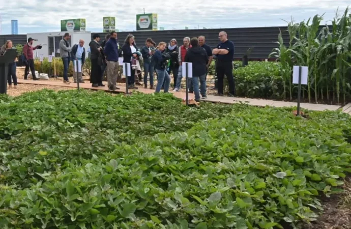 El INTA desembarca en Expoagro con lo último en genética, drones e inteligencia artificial