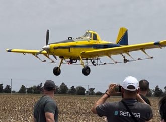 El «modelo argentino» de control de langostas que hoy mira el mundo